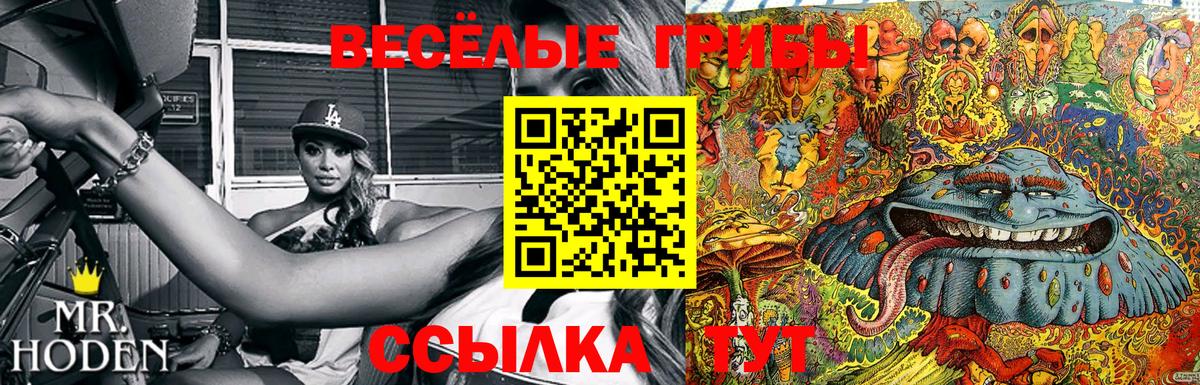 Псилоцибиновые грибы прущие грибы Красноуфимск